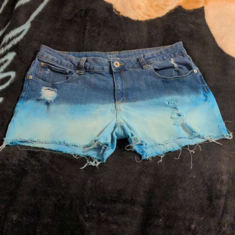 Distressed Time and Tru shorts